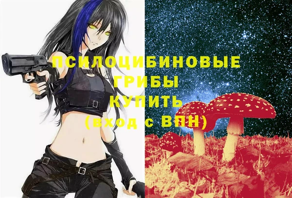 соль ск Алзамай